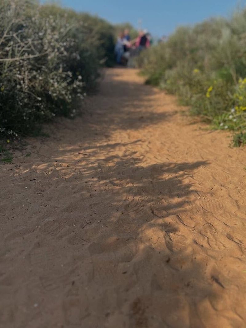 A sandy path winding through coastal dunes toward people walking ahead